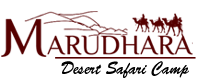 camp logo